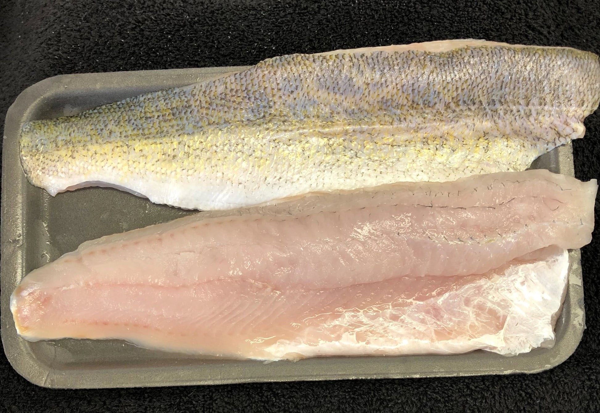 Fish Fillet Boneless 1 LBS