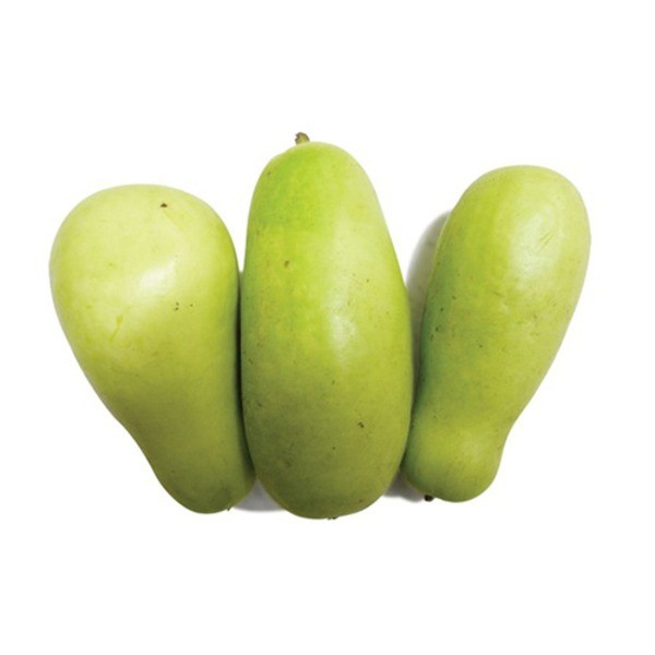 CHINESE LONG SQUASH 1 LBS