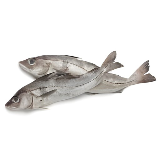 HADDOCK 2 LBS
