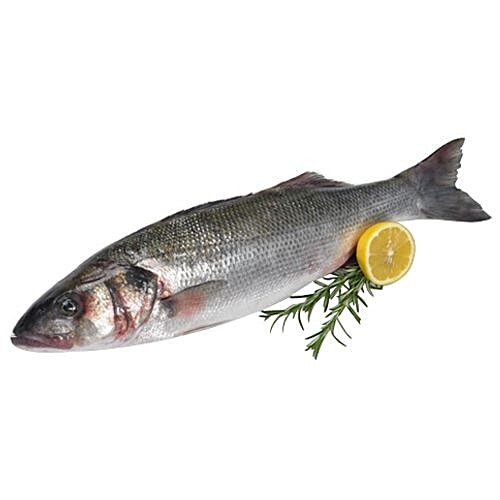 SEA BASS 2 LBS