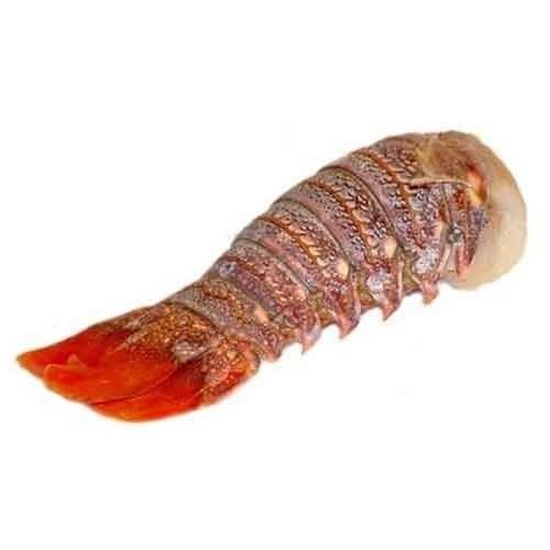 LOBSTER TAIL 2 LBS