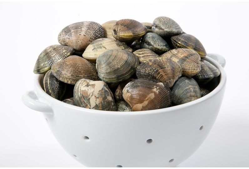 CLAMS 4 LBS