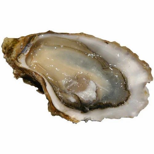 OYSTERS 2 LBS