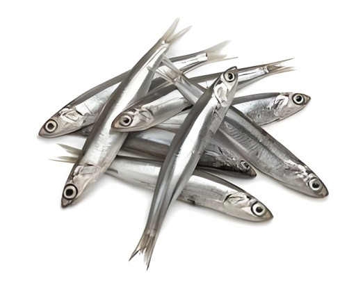 ANCHOVIES 4 LBS