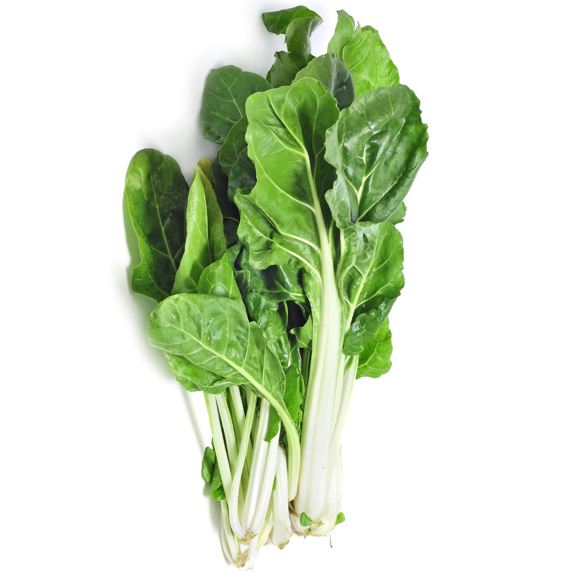 Chard Swiss Green 1 LBS