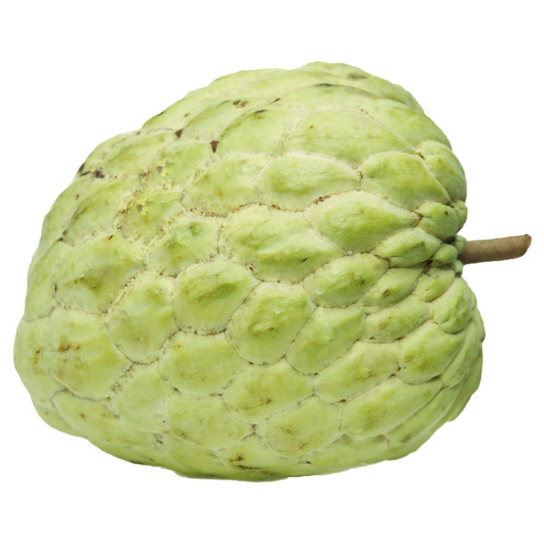 Cherimoya 1 LBS