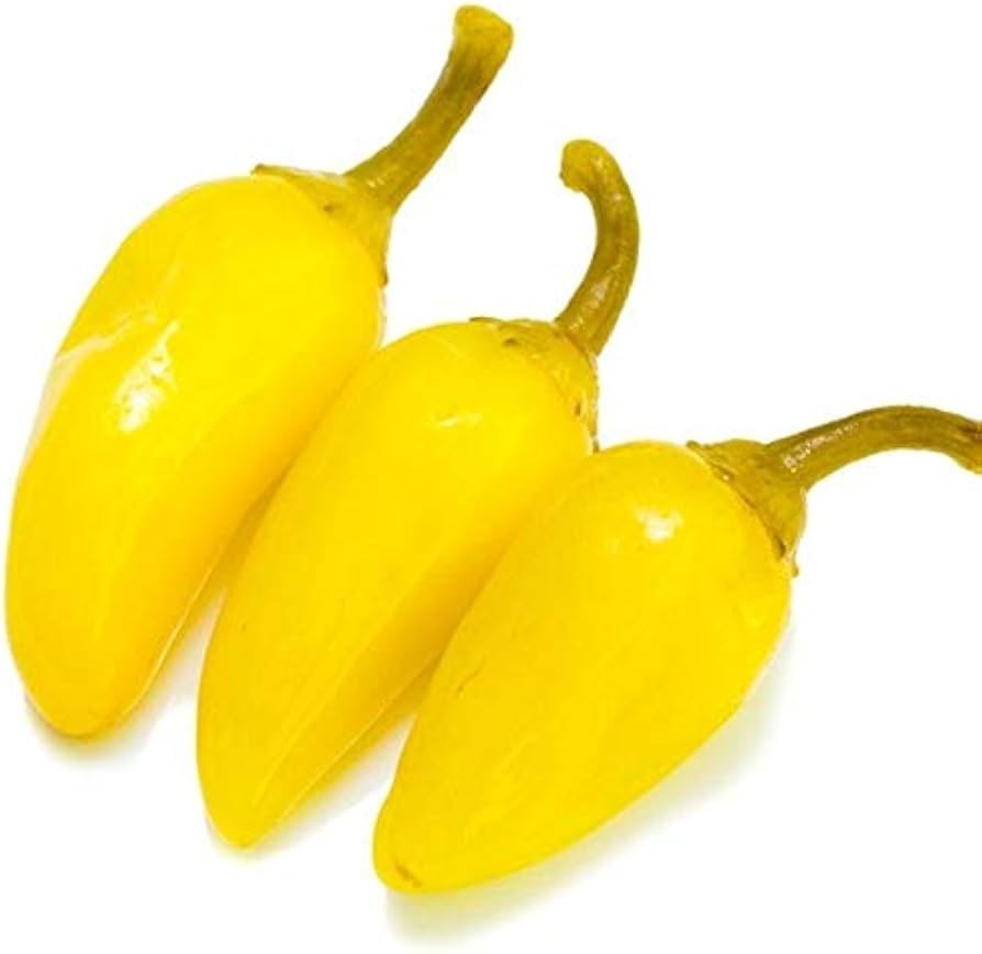 Chilli Jalapeno Yellow 1 LBS