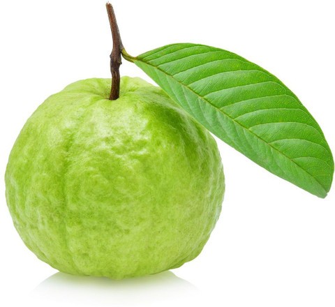 Guava Green 1 LBS