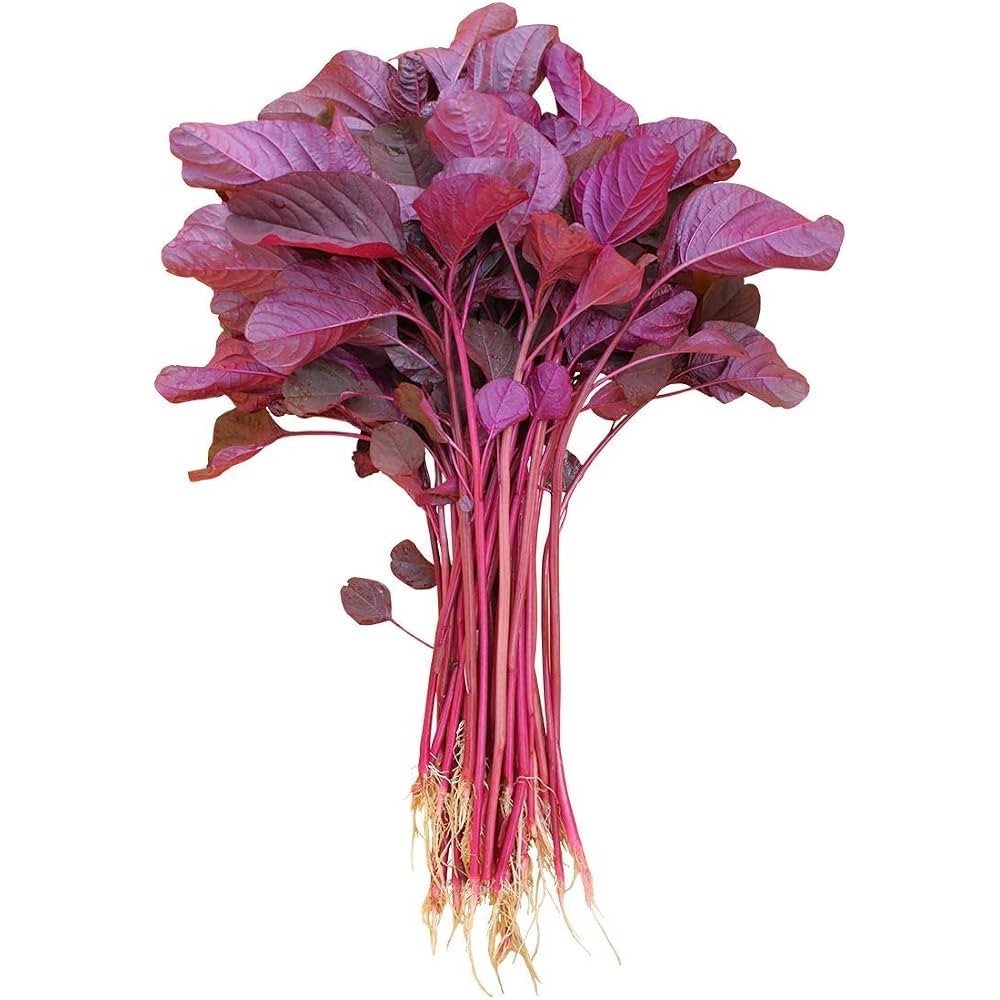 Spinach Red Leaf 1 LBS