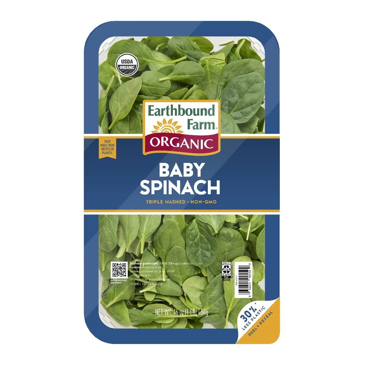 Spinach Regular 1 LBS