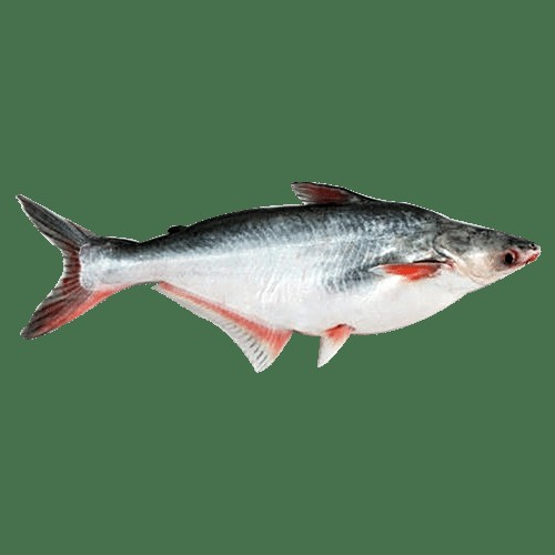 BASA FISH 4 LBS