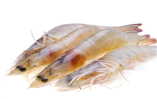 WHITE SHRIMP 2 LBS