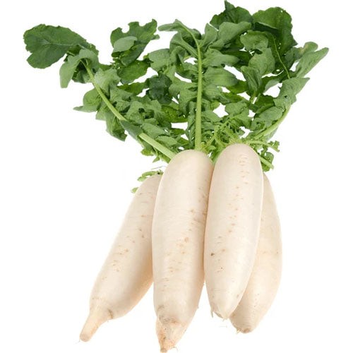 Radish Daikon (Mooli) 1 LBS