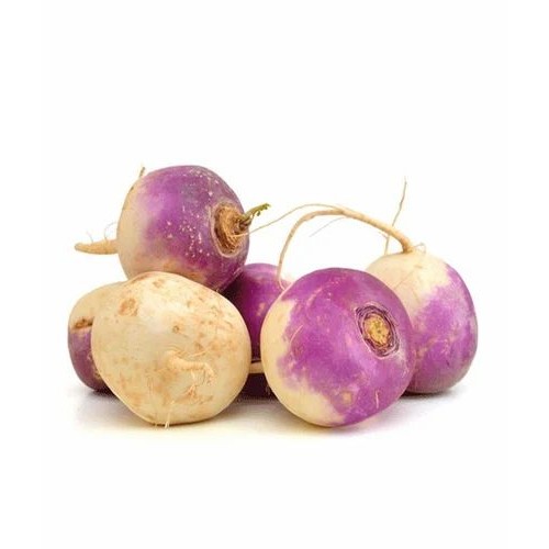 TURNIP  WHITE LOOSE 1 LBS