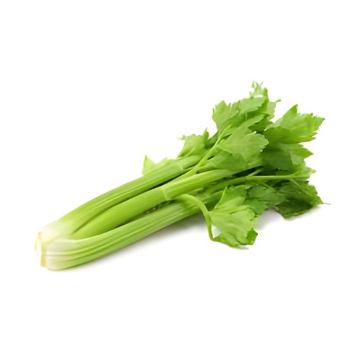 CELERY SLEEVE 1 COUNT