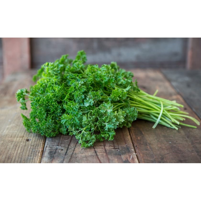 PARSLEY CURLY 1 COUNT