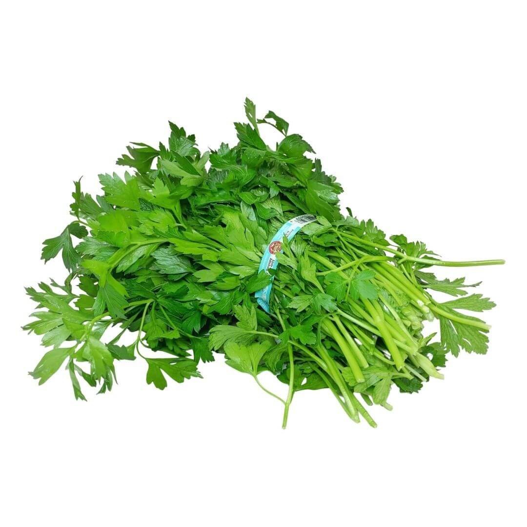 PARSLEY PLAIN 1 COUNT