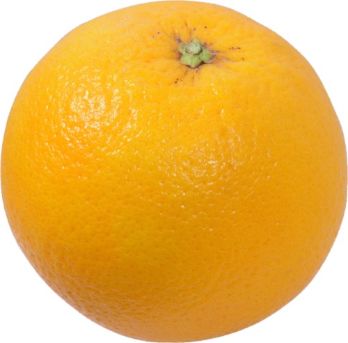 Orange Navel Florida 1 COUNT