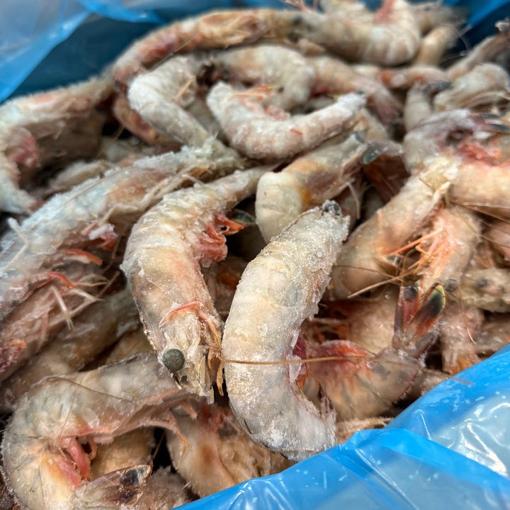 Shrimp Medium 4 LBS