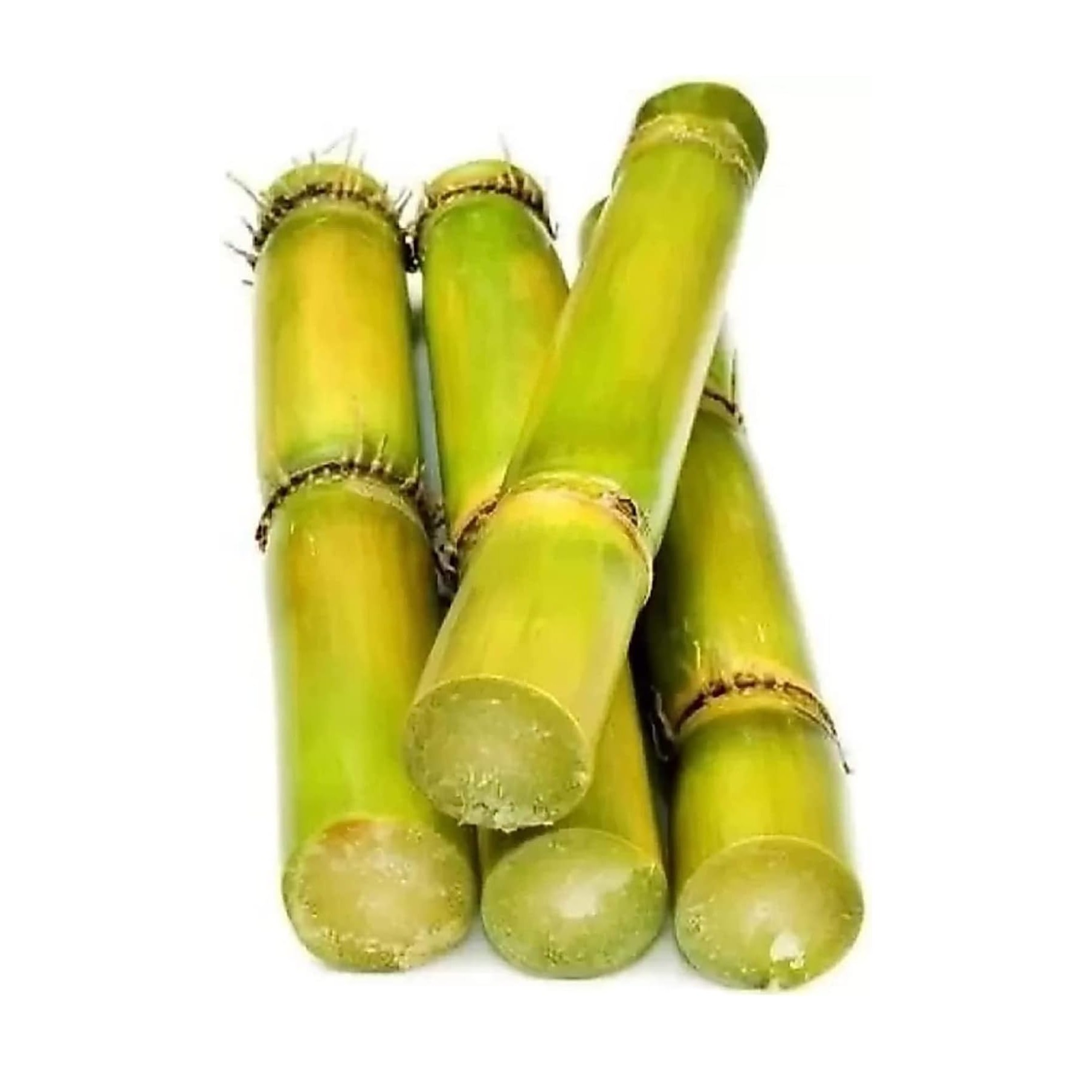 Sugar Cane Green 1 LBS