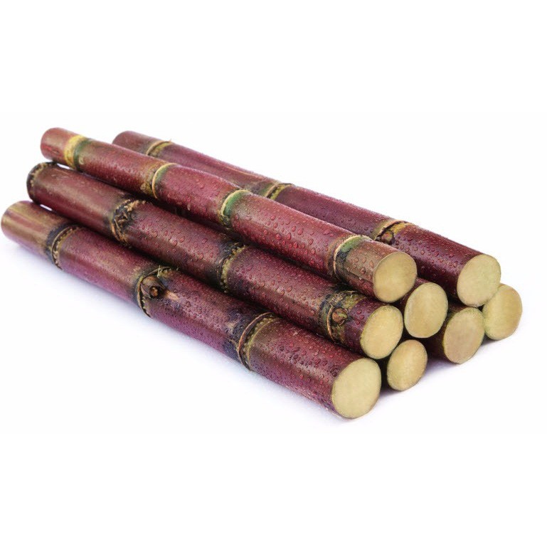 Sugar Cane Red 1 LBS