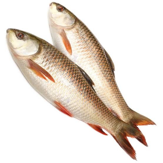 Rohu   Fish 1 EACH