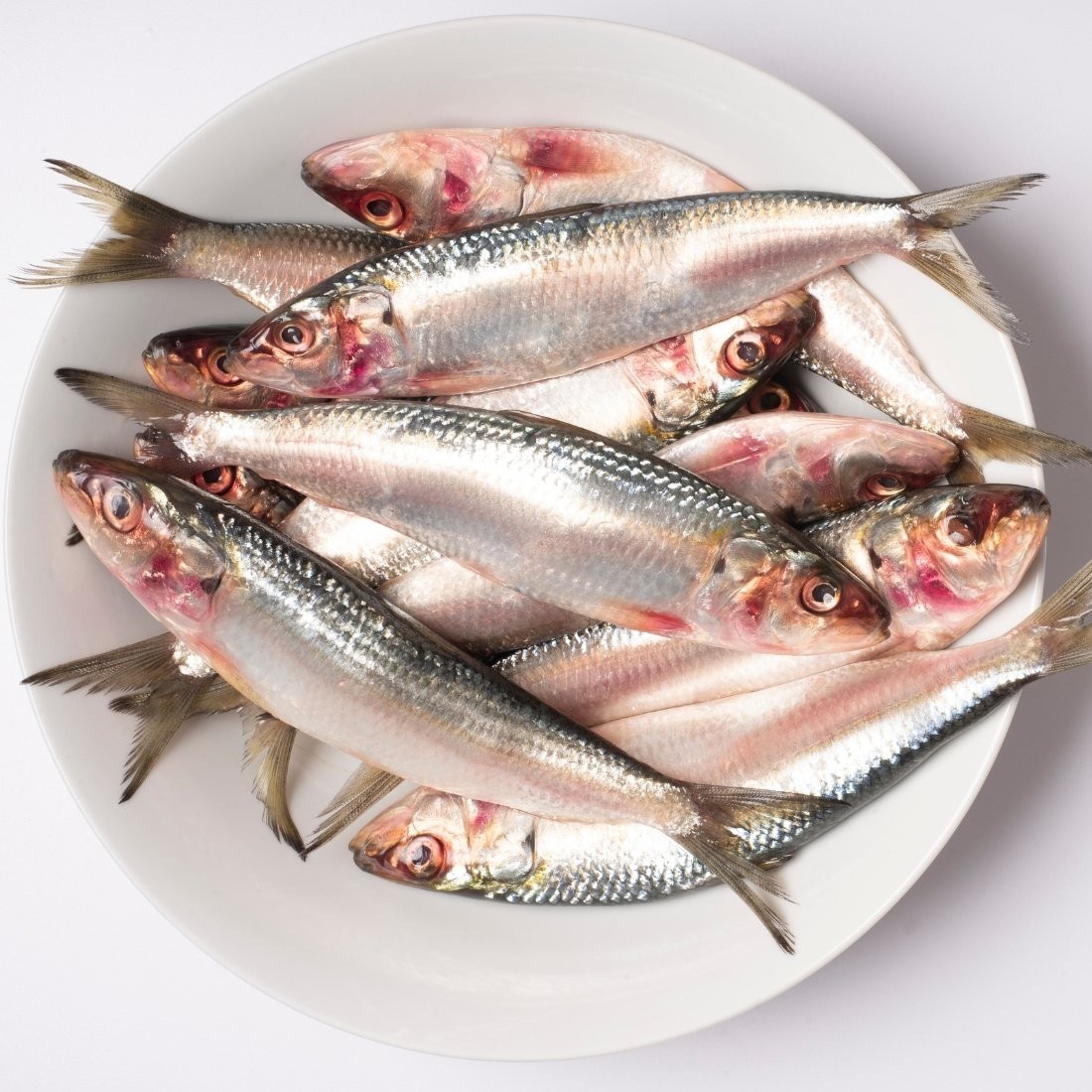 Sardine   Fish 1 EACH