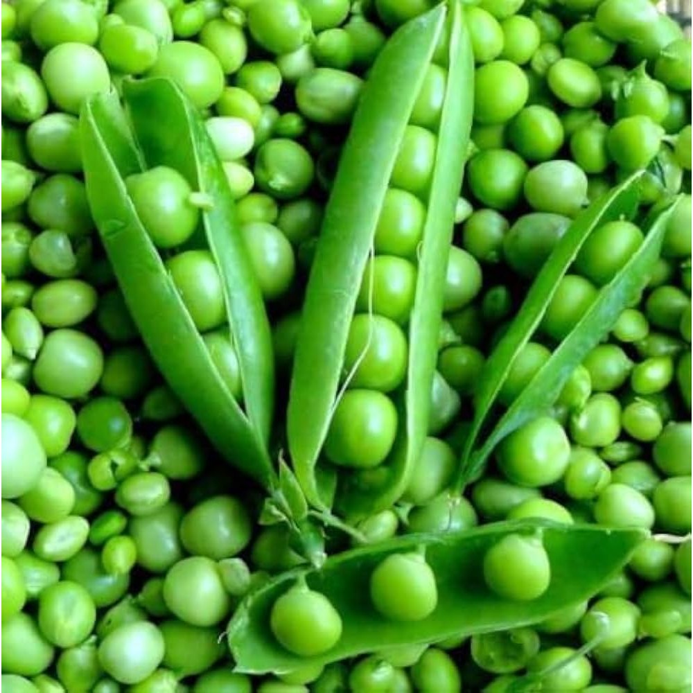 Green Peas ( Mutter ) 1 LBS