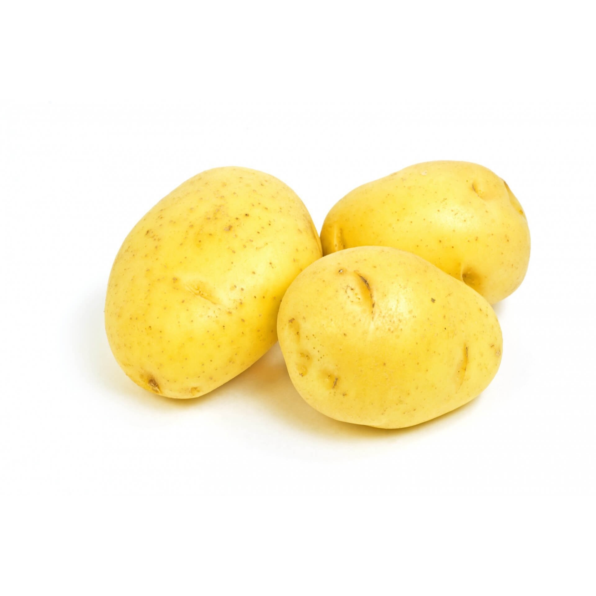 YELLOW POTATO 1 LBS