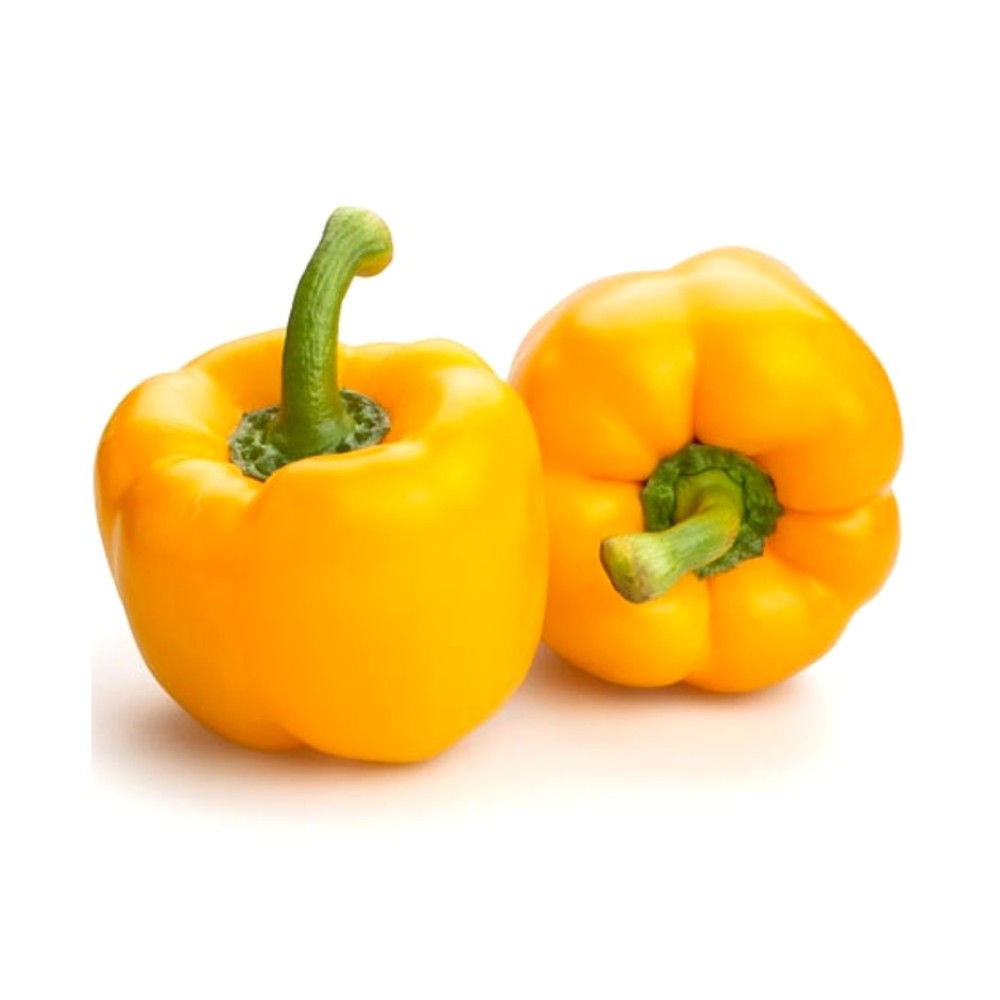 YELLOW BELL PEPPER 1 PCS