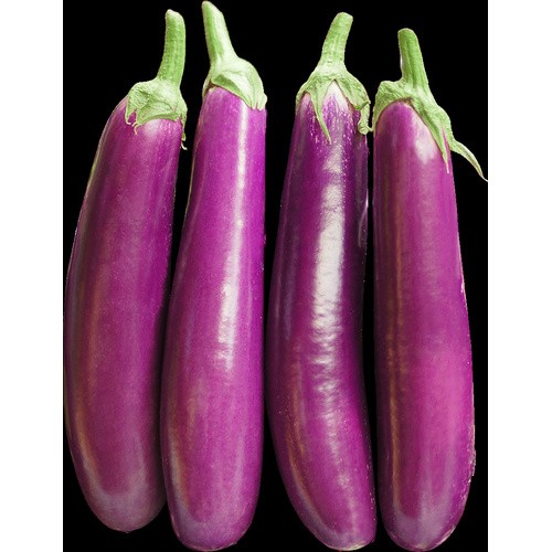 LONG EGGPLANT 1 LBS