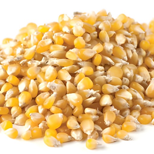 KALUSTYAN LADY FINGER YELLOW POPCORN 1 Lbs