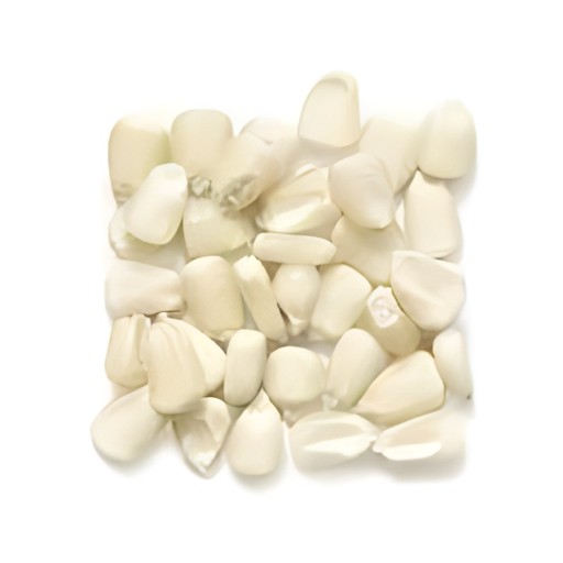 KALUSTYAN WHITE CORN KERNELS 1 Lbs