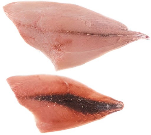 Pompano 2 LBS