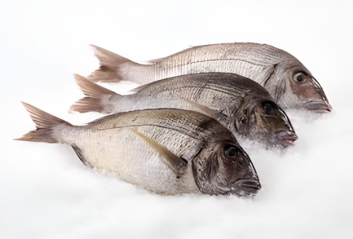 Porgy 3 LBS