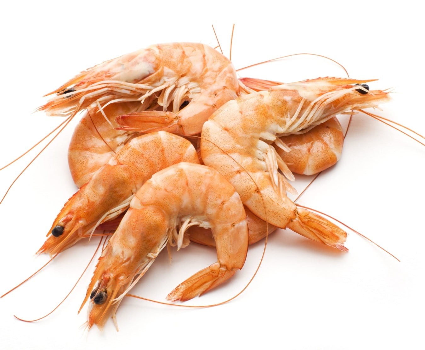 King Prawns 2 LBS