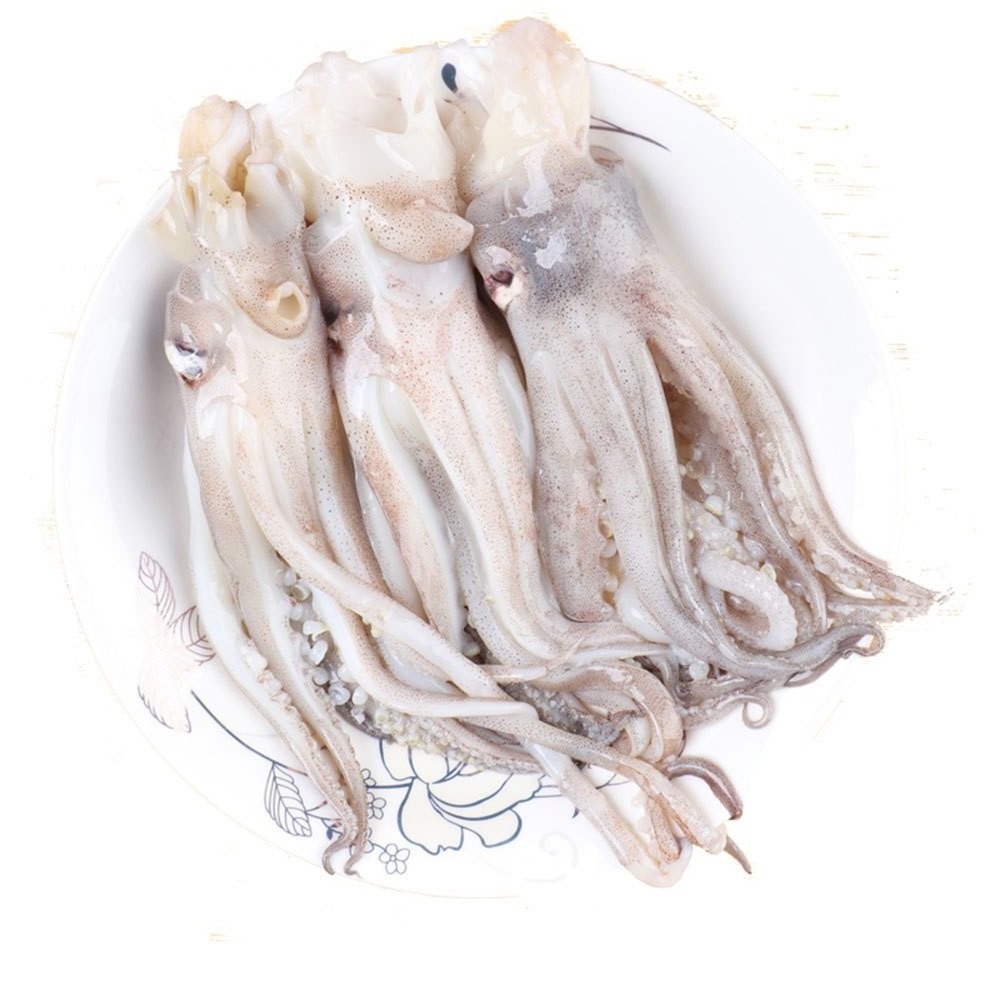 Octopus 2 LBS