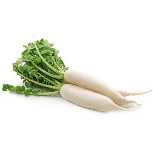 Mooli 1 LBS