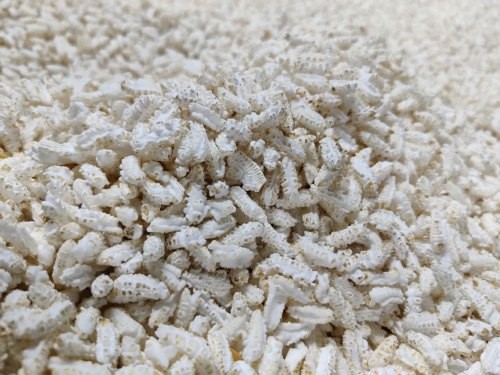 KAMAL PLAIN KHEEL  100 GM