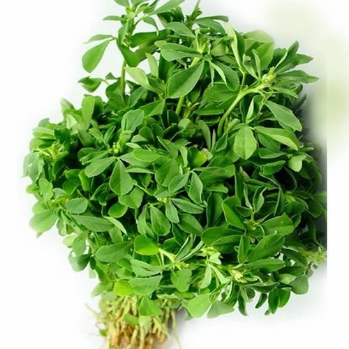 METHI LEAVE 1 BUNCH