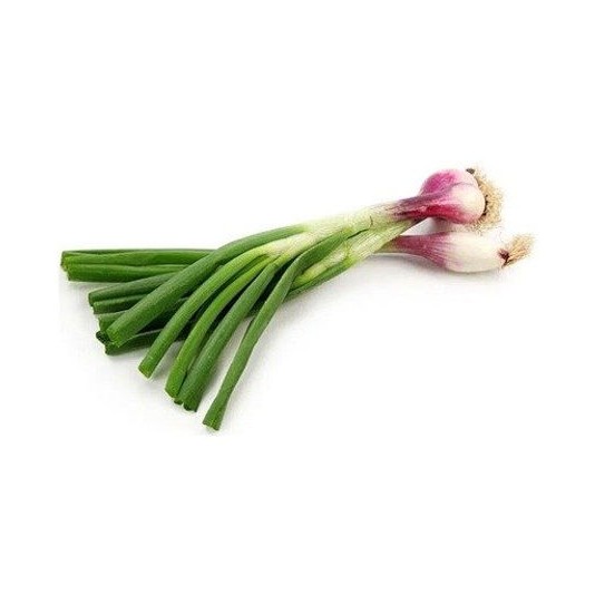 FRESH SPRING ONION CUT 1 LBS