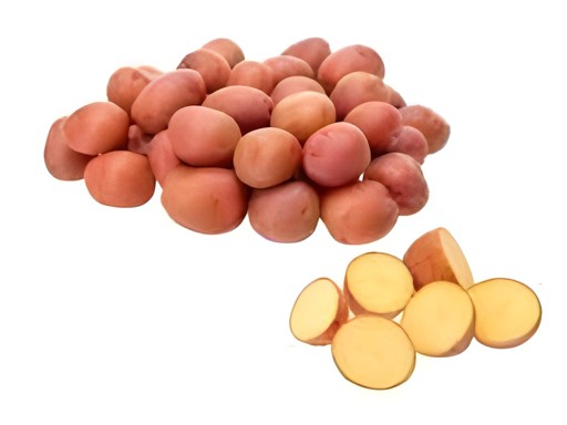RED POTATO SMALL 1 LBS