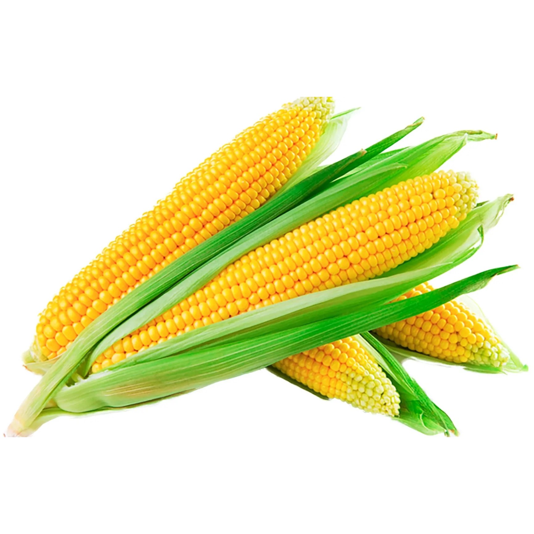 MEX CORN 1 LBS