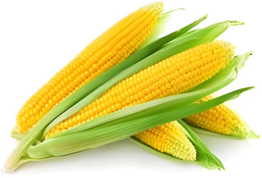SWEET CORN 1 LBS