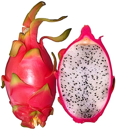 DRAGON FRUIT RED 1 LBS