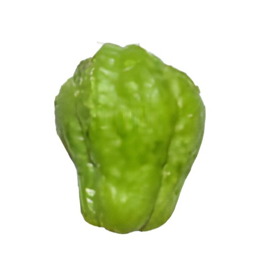 CHAYOTE 1 EACH