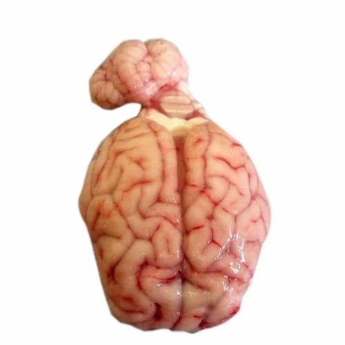 Goat Brain 1 Lbs