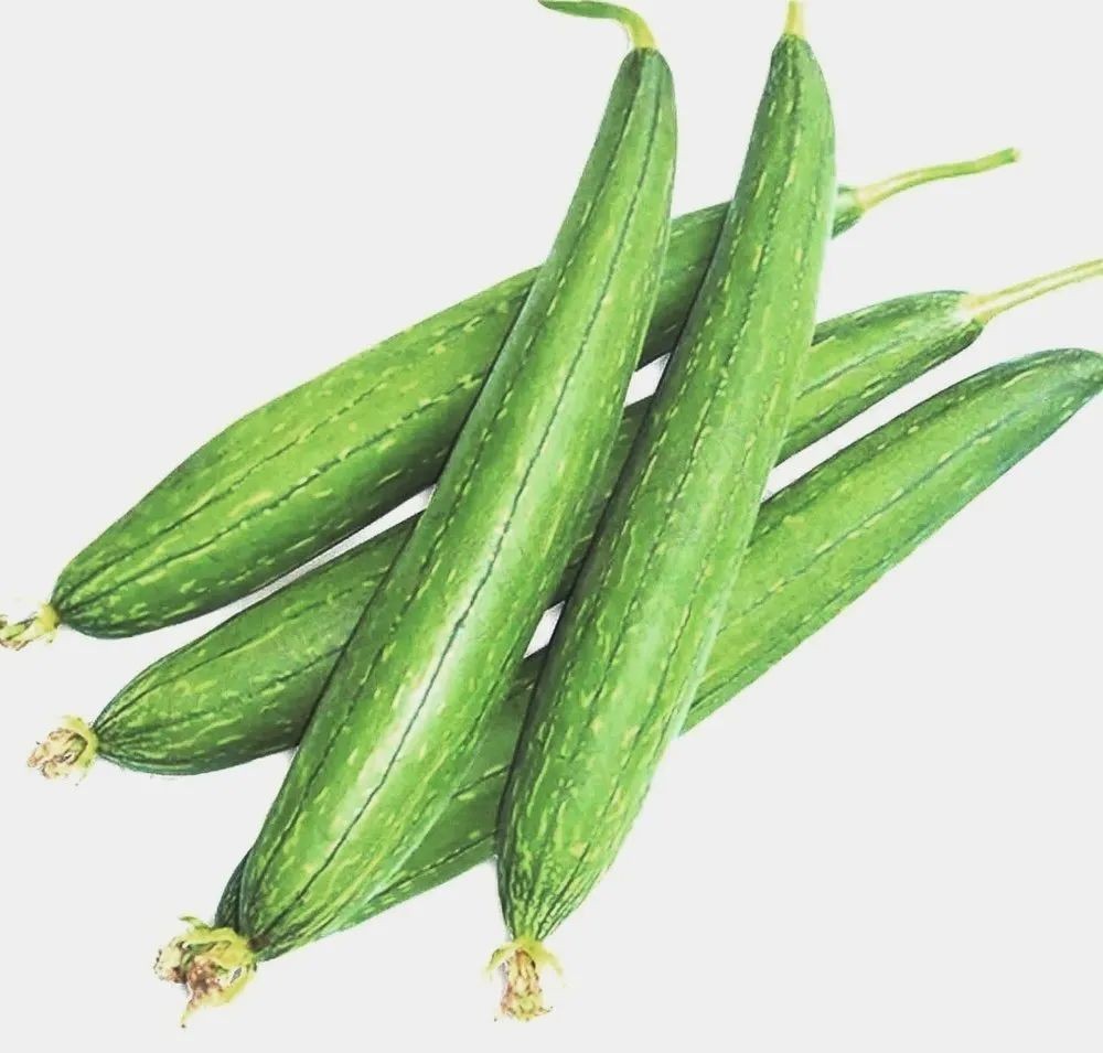 Toori 1 LBS