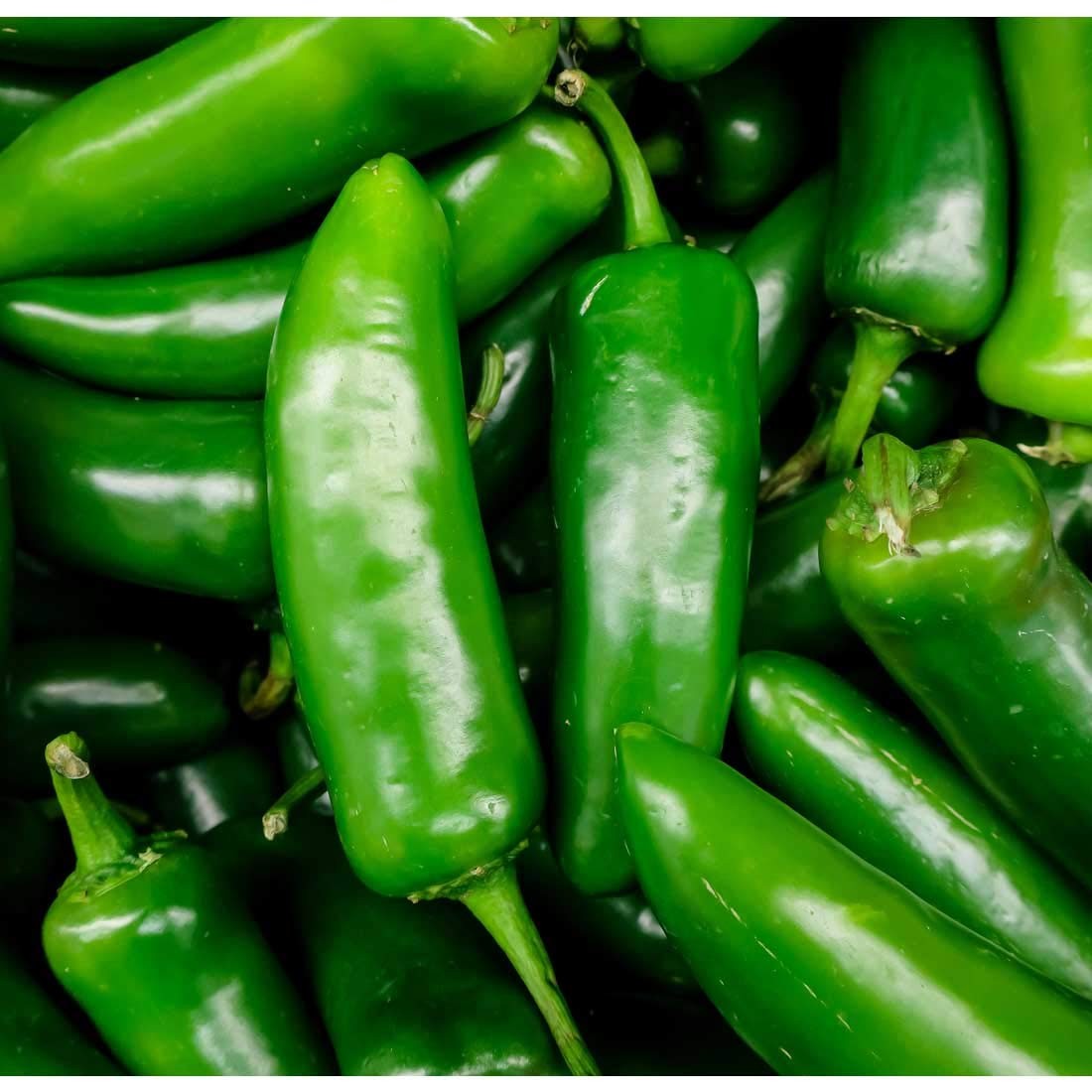 Jalapeno 1 LBS