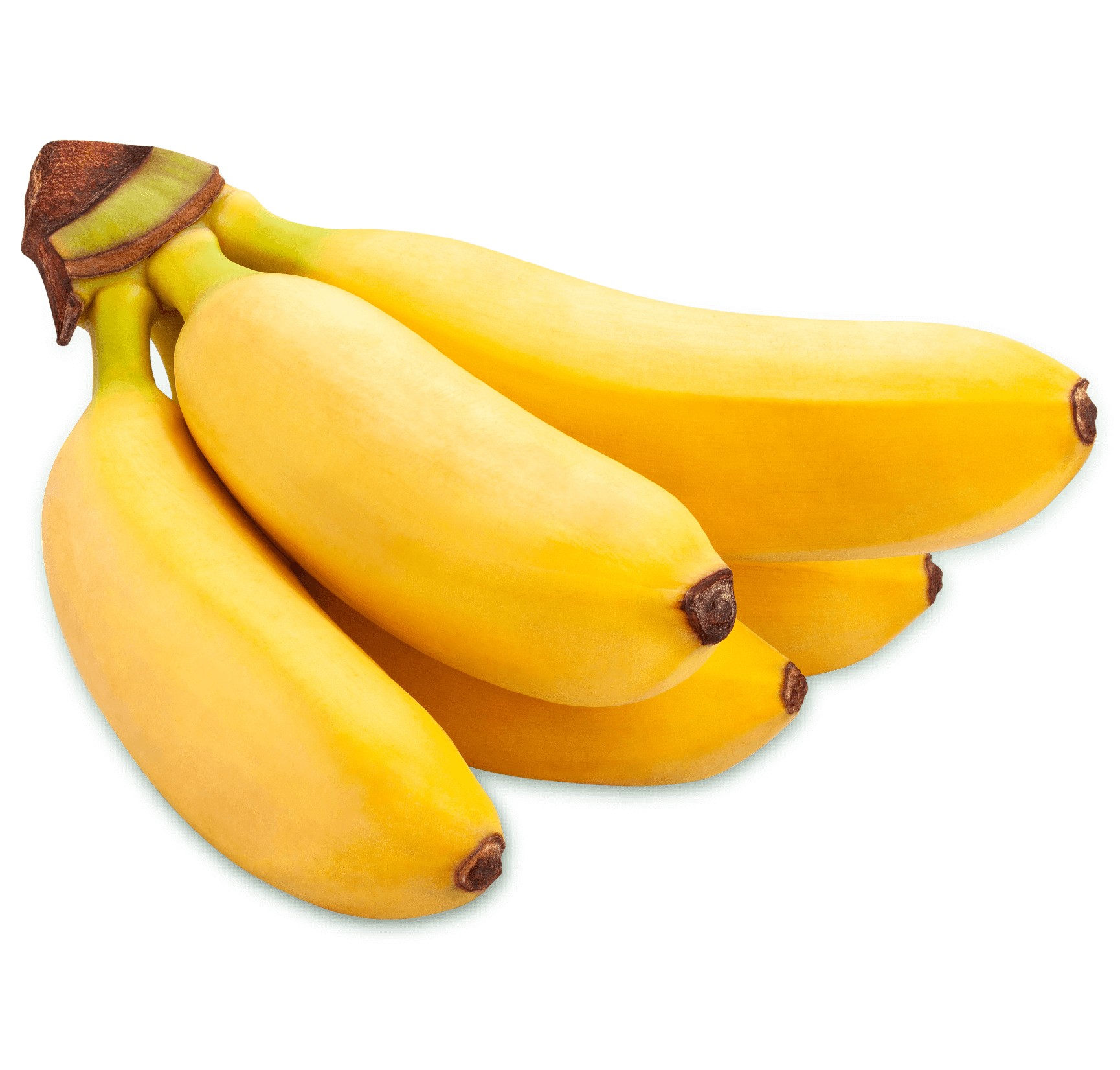Baby Banana 1 LBS